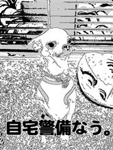 レーダー感知っ！？