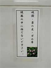 撮影会参加しました(o^∇^o)ノ