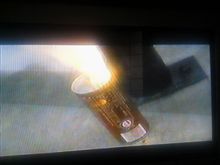 愚か者