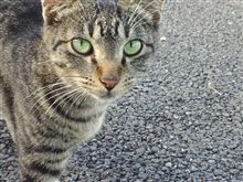 終末わ見たい映画がイッパイパイ♪