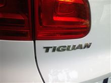 車検。