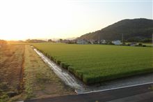 新居生活34日目？