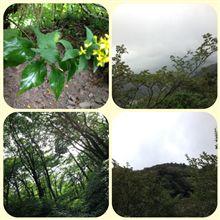 登山3 登山3