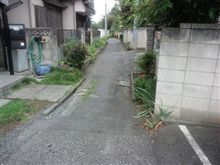 騙された! 騙された!