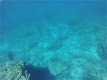ジムニーで沖縄から秋田に行く！計画