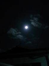 中秋の名月♪