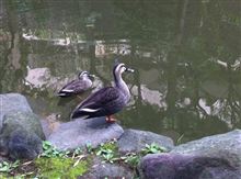 脱力!!