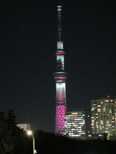 【10月】Pinky☆Night【1日】