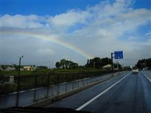 嵐の後の…