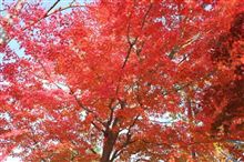 なつかしの・・・
