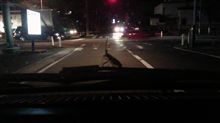 虫の劇団？