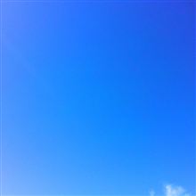 台風一過
