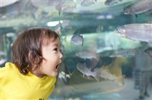 さかな公園deカメ！