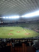 野球観戦（埼玉西武VS千葉ロッテ）