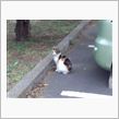 もうすぐ妖かし