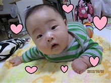 癒やし系♥