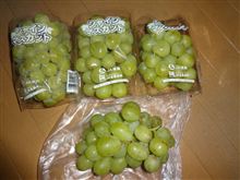 　左手の調子がイマイチだ。。。　
