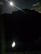 夜のフリータイム♪