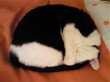 ナニを思ったのか…