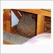 本日の小屋裏♪