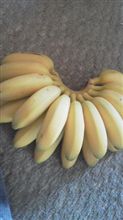 いただきもの