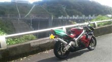 今日は250