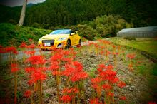 ECO☆CRZのエコ散歩～曼珠沙華の赤い花～