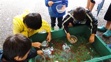 金魚すくいの おっさん・・・☆