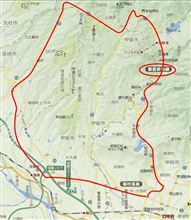 紅葉はまだ少し先