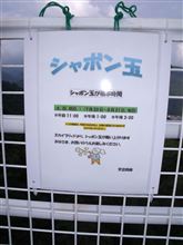 シャボン玉ホリデー　○o｡..:*