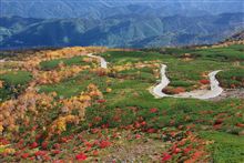 過去最高の乗鞍紅葉