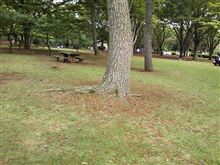 ありがとう・・・