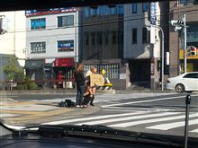 おねーさん&#215;3 !?　どぅするぅぅ??