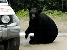 こんなんが出てくるのか？？？