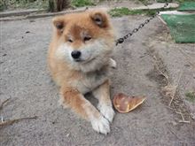 繋いでほしいんですが・・・・