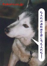 先月からボチボチ・･･。
