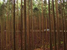 三重県道７５５号老ヶ野古田青山線　