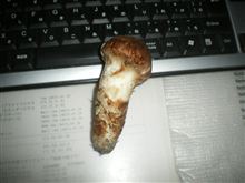 今日の成果・・！