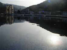 ご近所エギング１６＝３