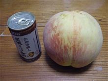 大きな西尾ゴールド