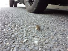 ムッシュムラムラ( &#180;艸｀)