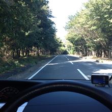 のんびり移動中