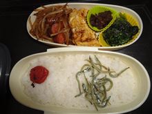 弁当男子