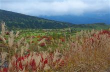 （紅葉）野反湖、志賀草津・芳ヶ平