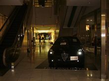 昨夜のモルティ