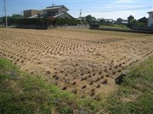 3回目の稲刈り、無事終了☆