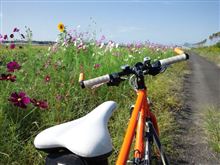 半年ぶりの自転車