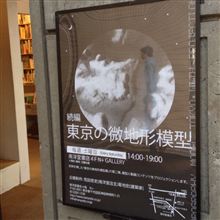 東京の微地形模型