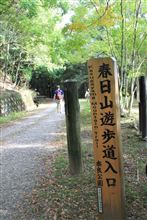 奈良・秋のパーク&amp;ライド始まりましたよ♪