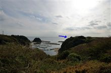 城ヶ島東側